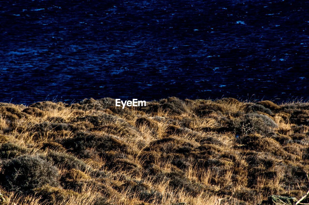 Scenic view of sea against landscape