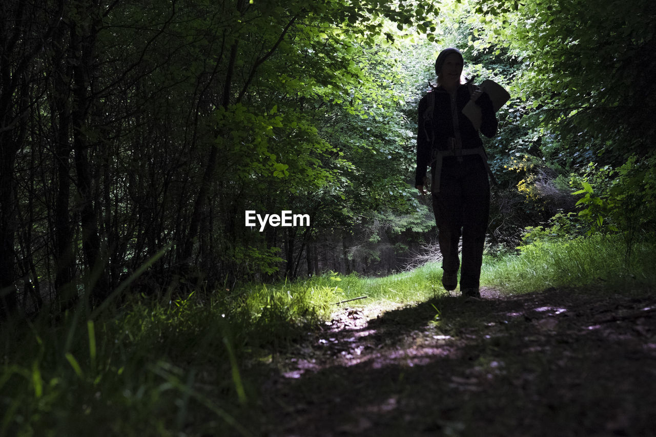 Person walking in forest