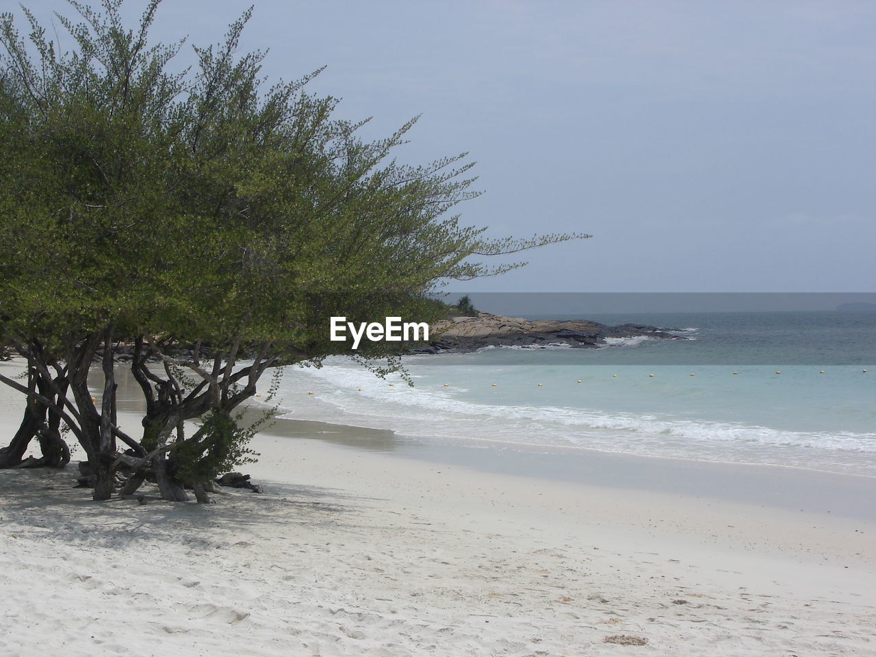 Scenic view of beach against blue sky