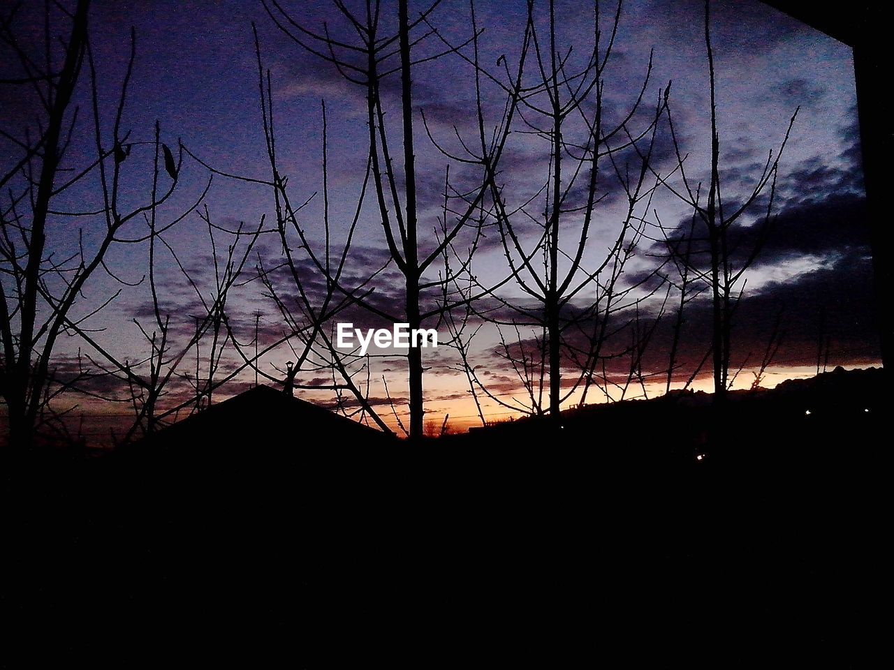 SILHOUETTE OF BARE TREE AGAINST SKY