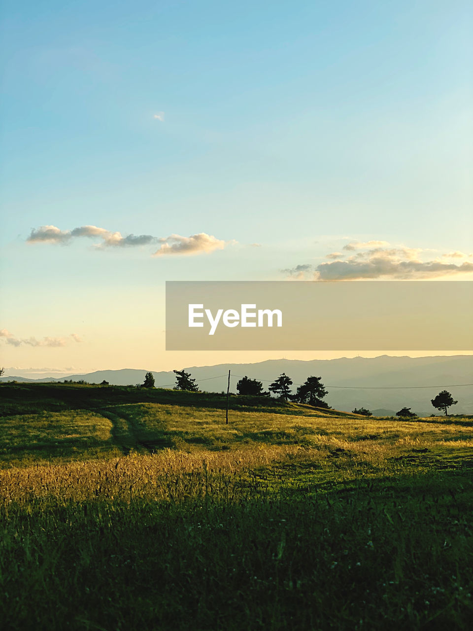 Scenic view of agricultural field against sky during sunset