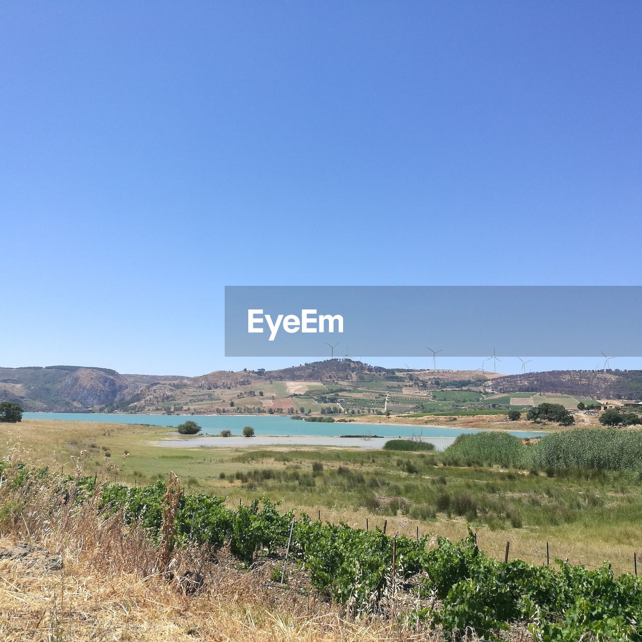 Scenic view of field against clear blue sky