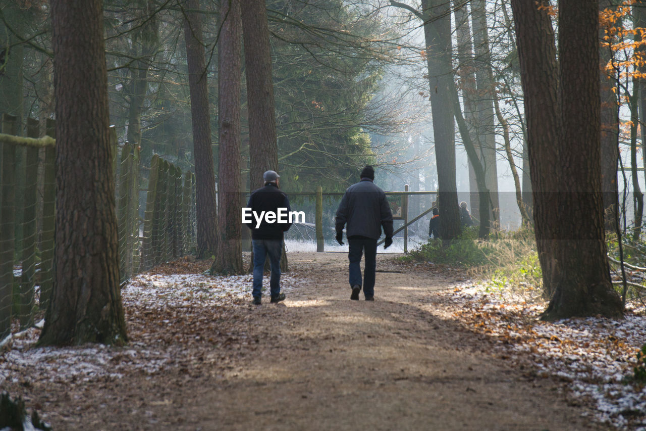 Rear view of people walking on footpath amidst trees in forest