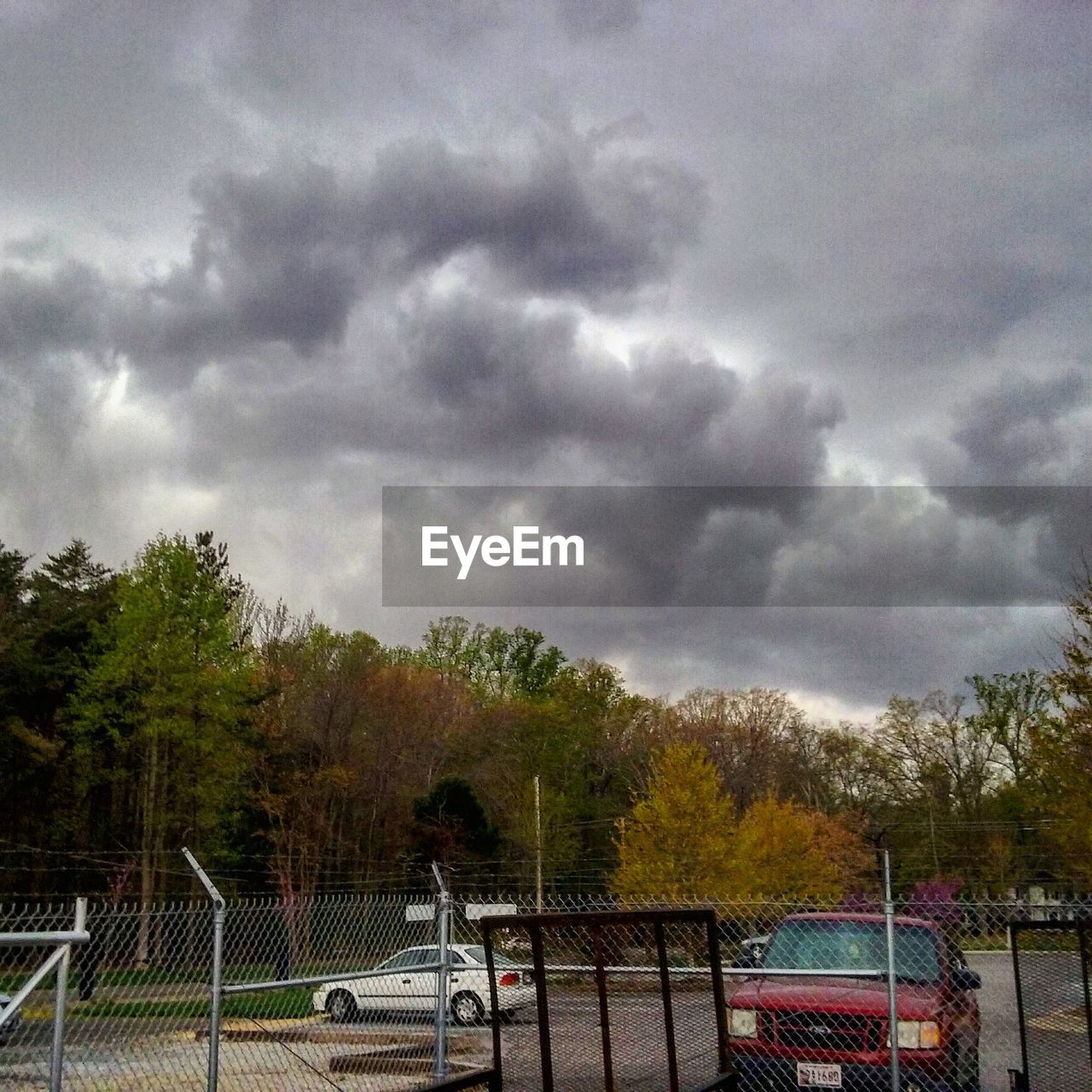 VIEW OF CLOUDY SKY OVER TREES