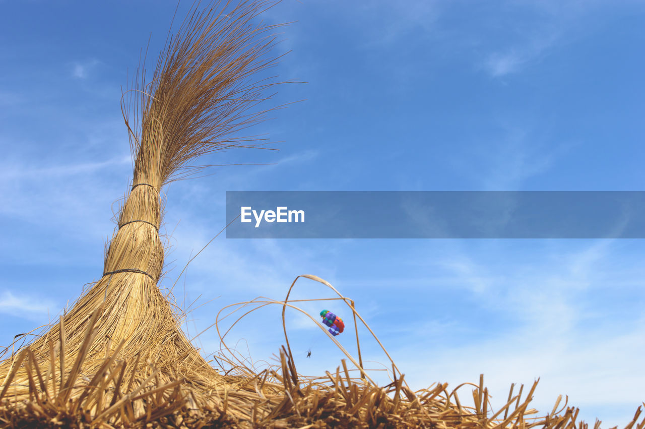 Bundle of straw against sky