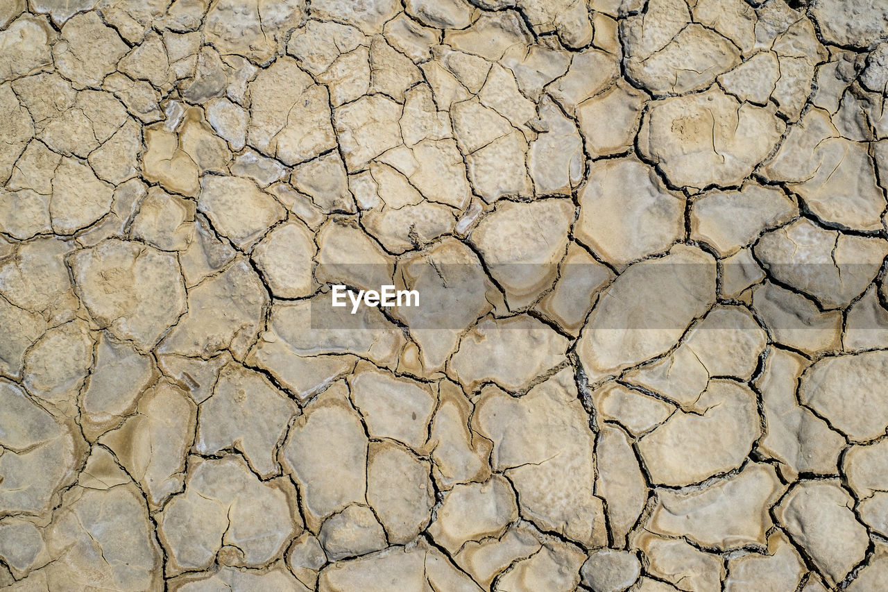 Dried earth with cracks on summer sunny day