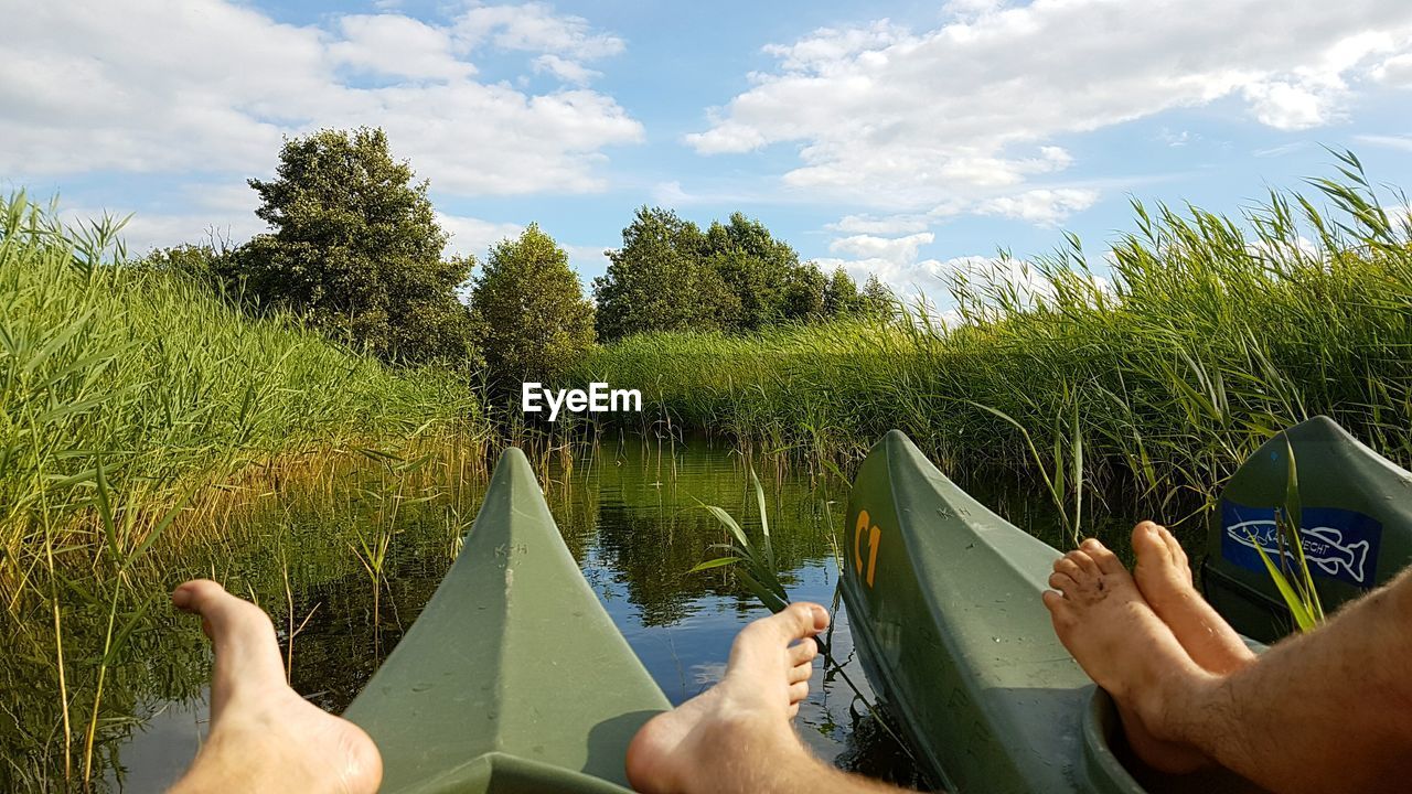 LOW SECTION OF PEOPLE RELAXING ON PLANTS