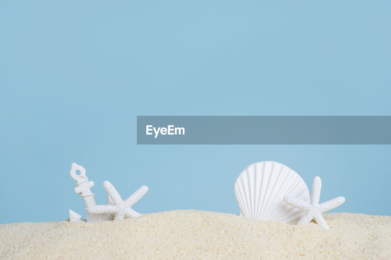 Summer time concept with sea shells and starfish on the sand, blue background with copy space, 