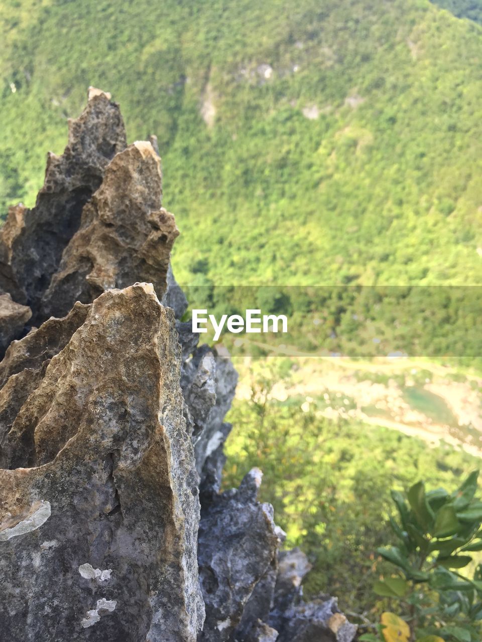 Close-up of rocks on land