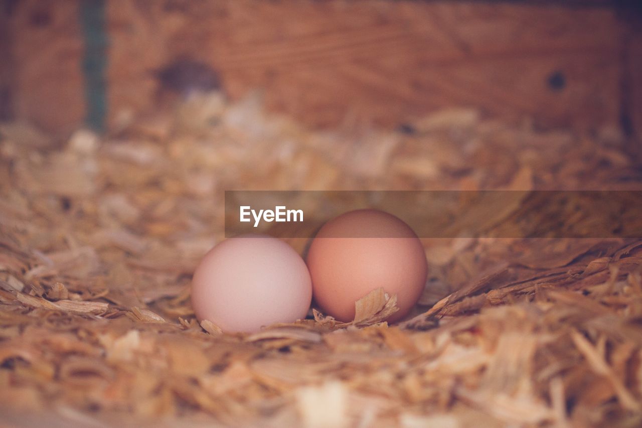 HIGH ANGLE VIEW OF EGGS IN CONTAINER