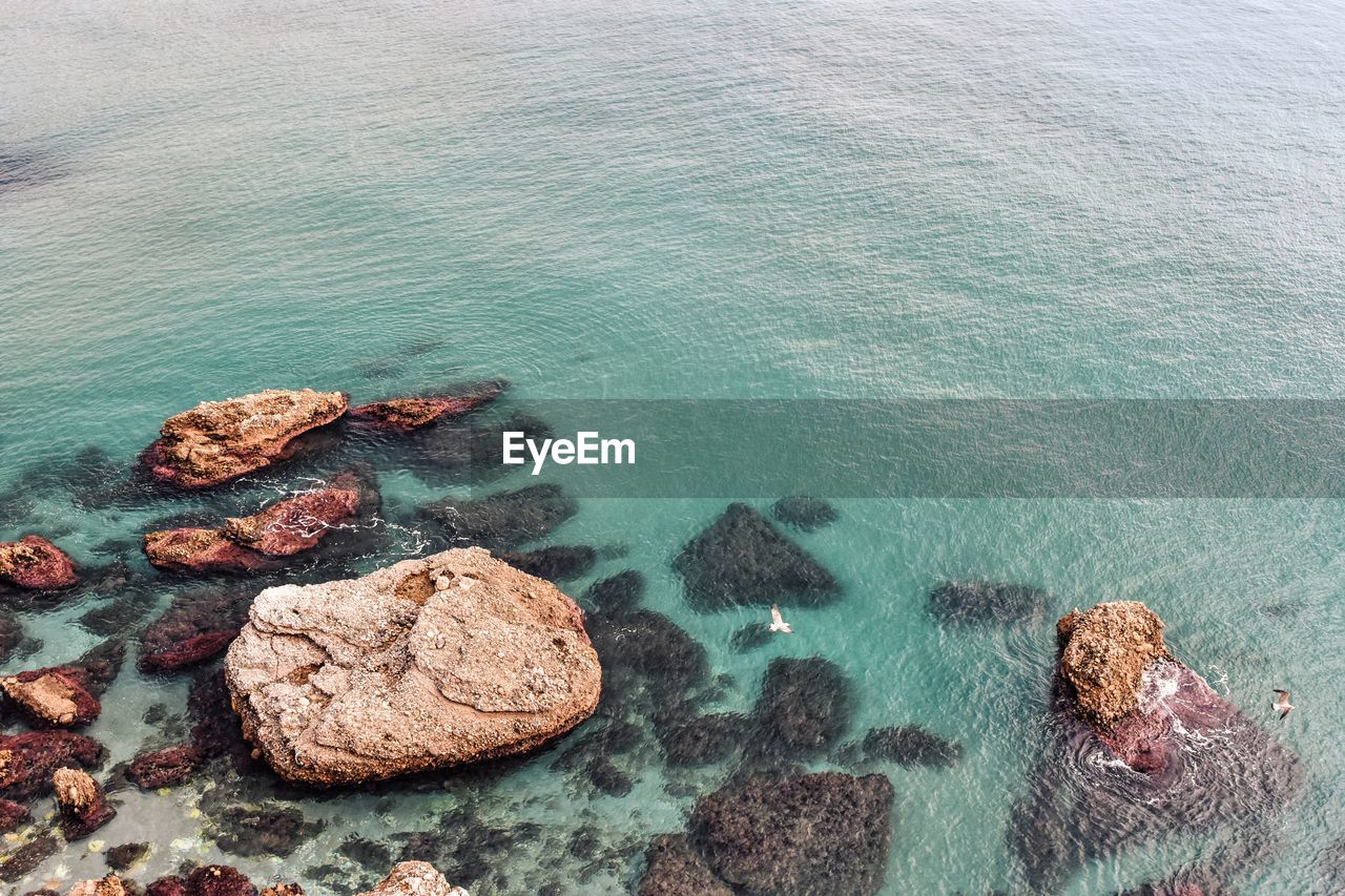 High angle view of rocks at sea shore