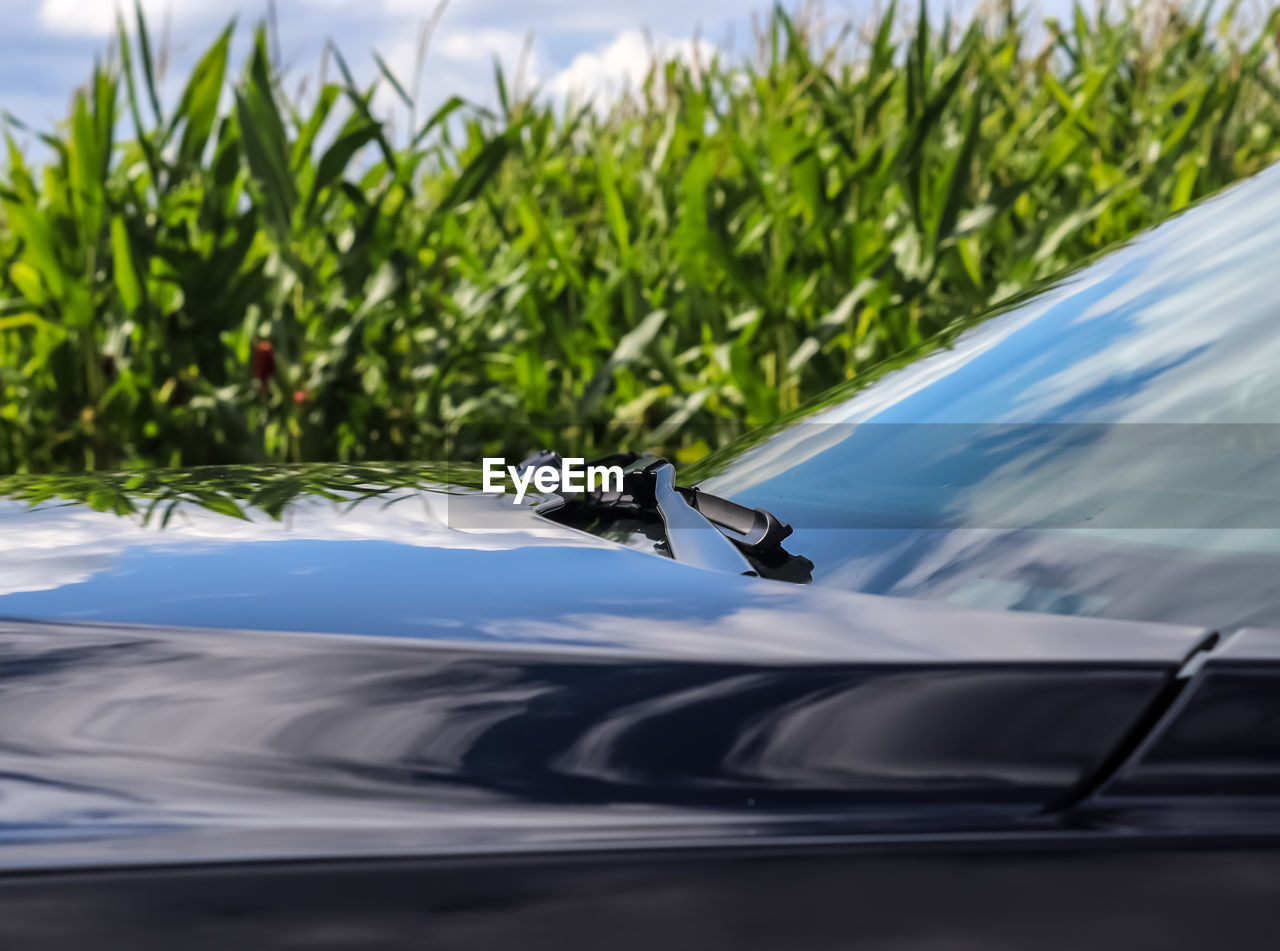 Reflections of a blue sky with clouds in the surface of a black sports car