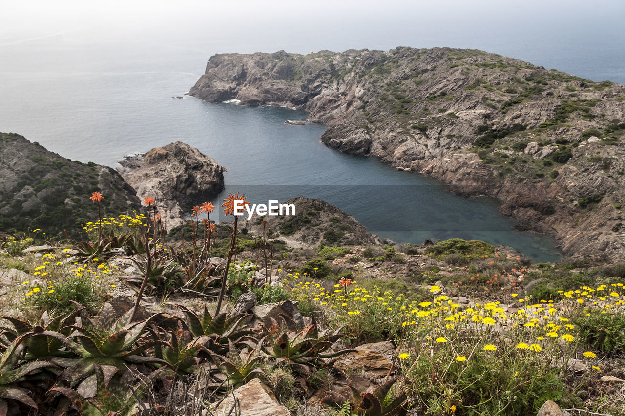 High angle view of plants by sea against sky