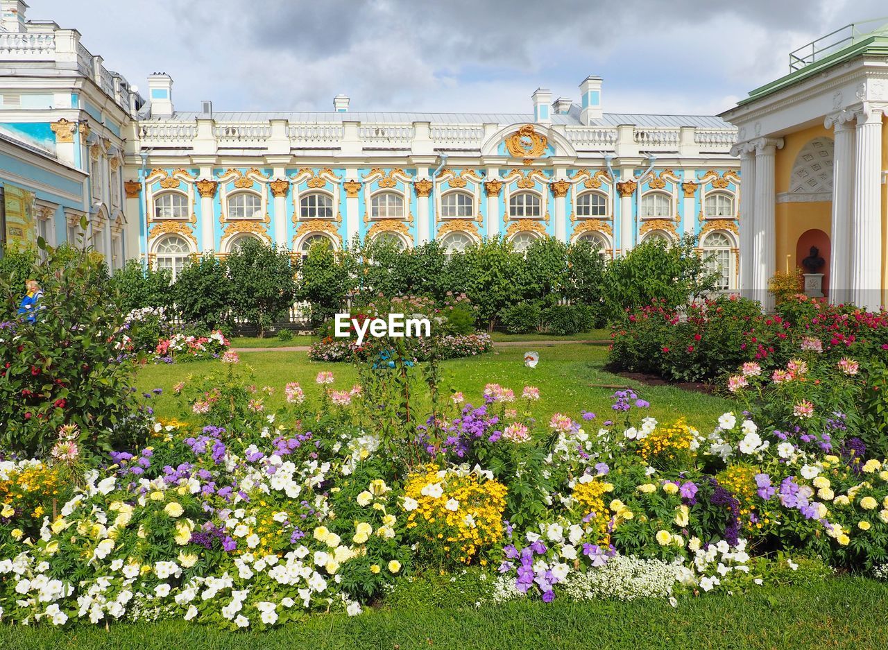 FLOWERS GROWING IN GARDEN AGAINST BUILDING