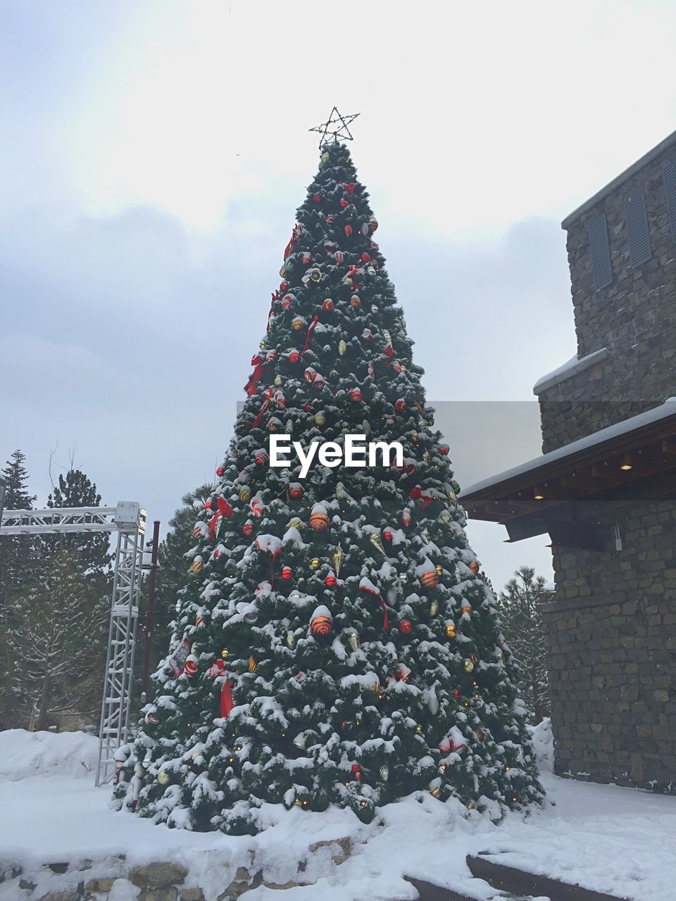 Christmas tree on snow covered field against sky during winter