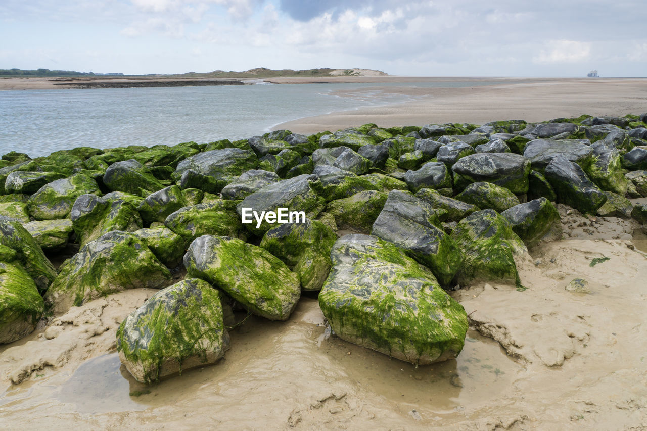 Scenic view of rocks on beach against sky