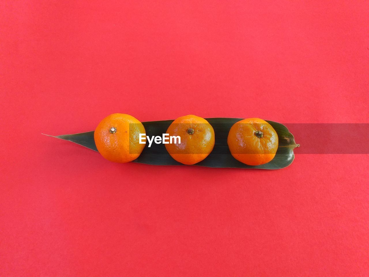 CLOSE-UP OF ORANGE FRUITS