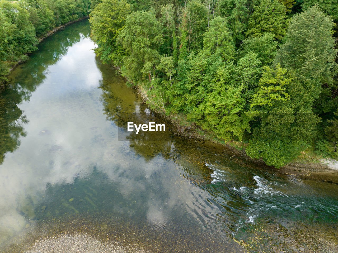 water, river, body of water, stream, plant, tree, beauty in nature, green, nature, watercourse, tranquility, day, no people, scenics - nature, reflection, forest, high angle view, growth, tranquil scene, land, pond, environment, outdoors, non-urban scene, waterway, creek, rapid, wilderness, reservoir