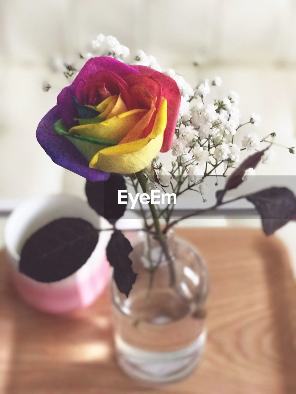 CLOSE-UP OF FLOWERS IN VASE AGAINST BLURRED BACKGROUND