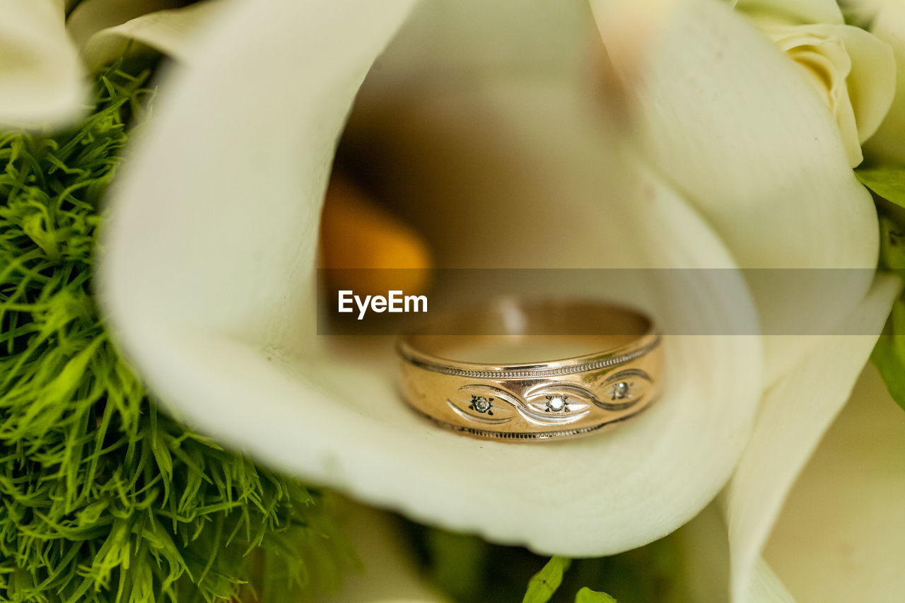 Close-up of wedding ring on flower