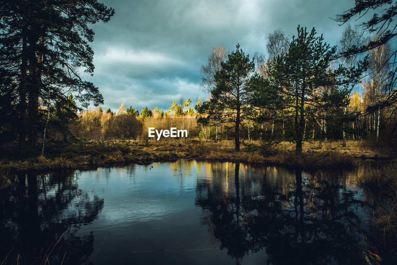 Scenic view of lake by trees against sky