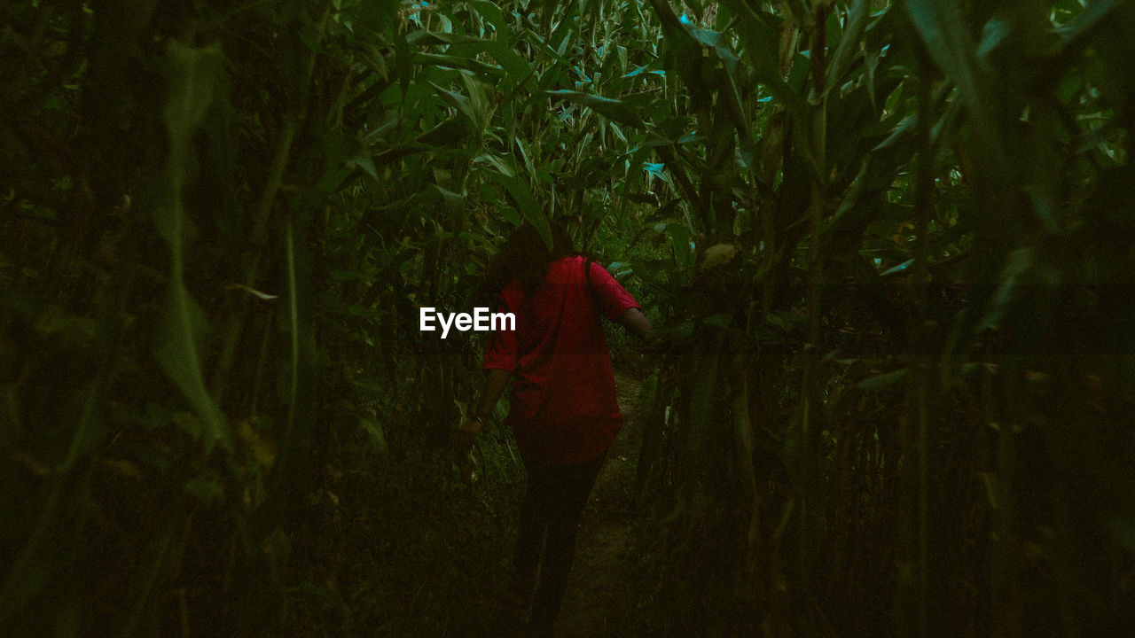 Woman walking on field in forest