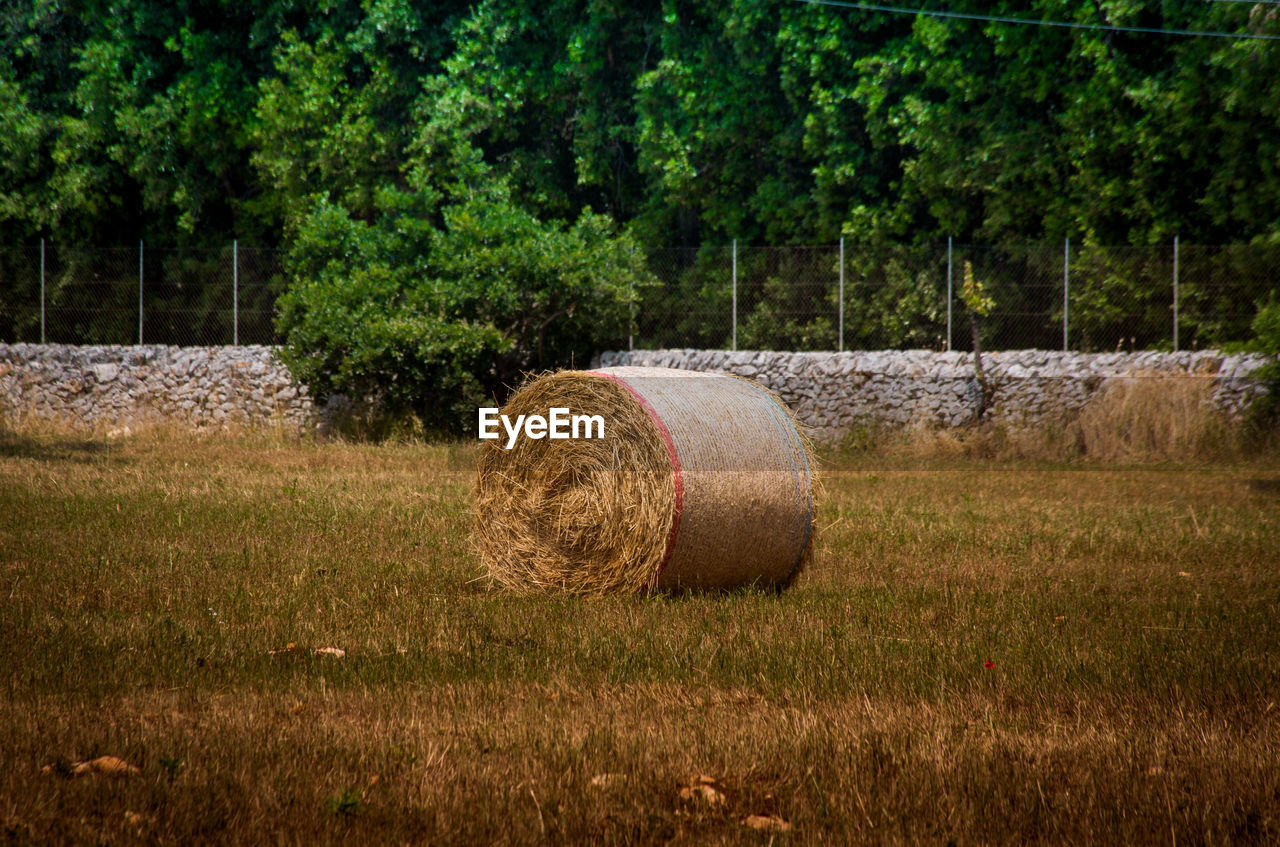 Puglia country side