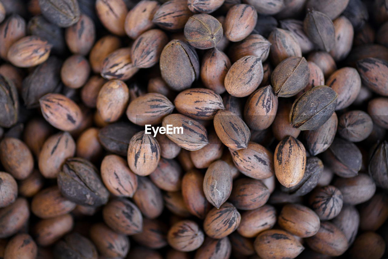 A pile of pecans from above