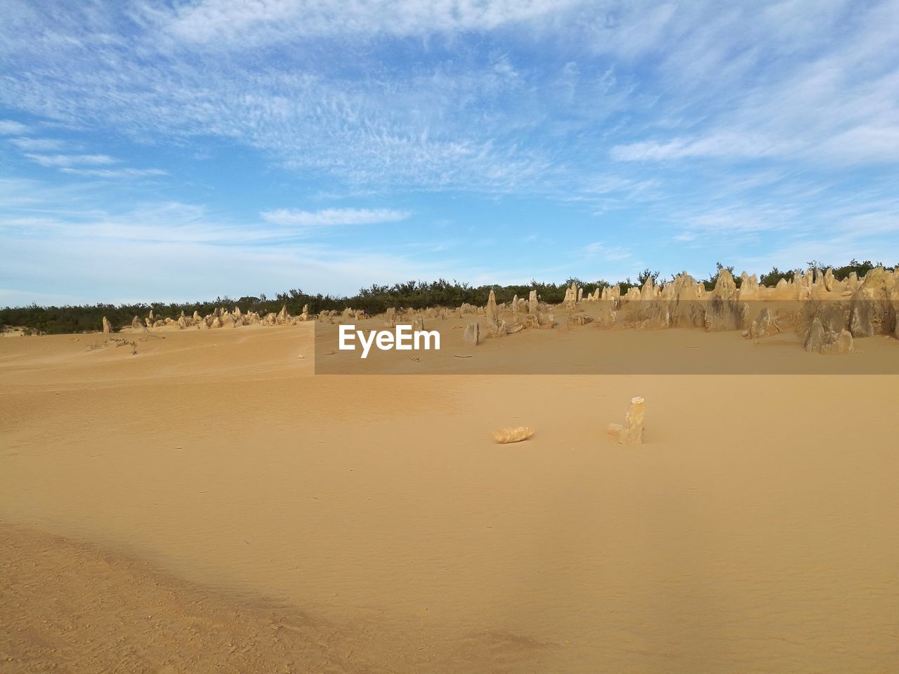 PANORAMIC VIEW OF SAND DUNE AGAINST SKY