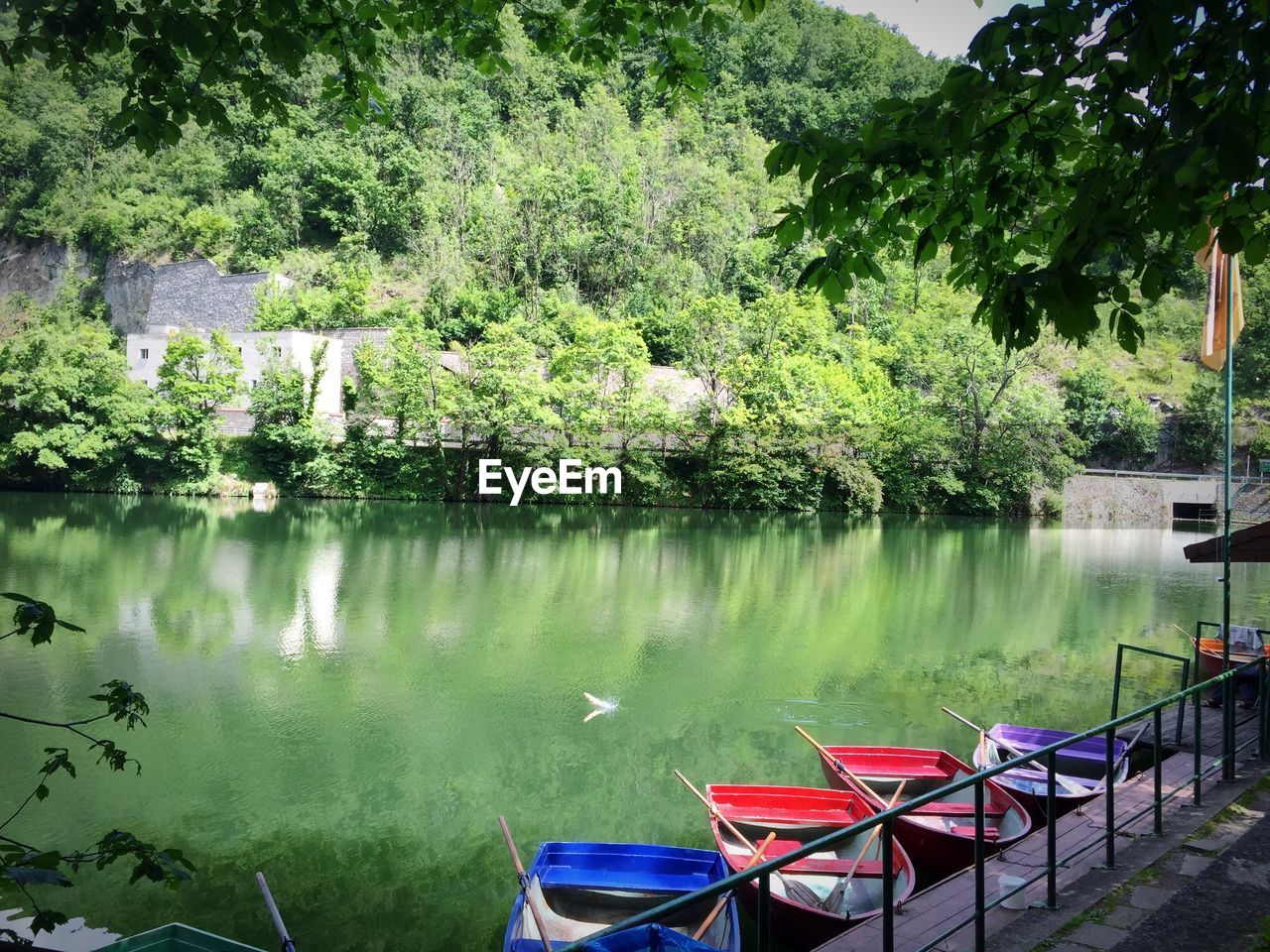 Scenic view of lake by trees