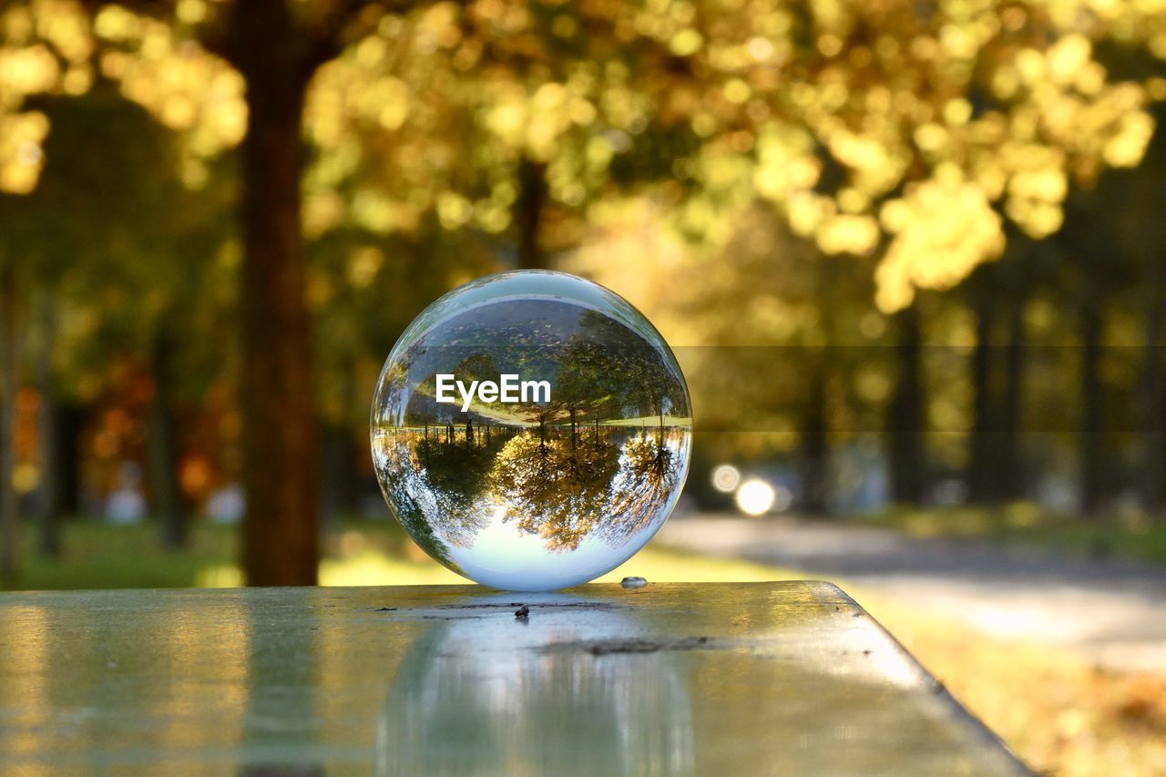 Close-up of crystal ball on table against trees 