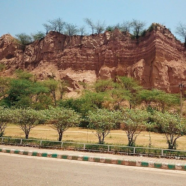 VIEW OF ROAD ALONG TREES