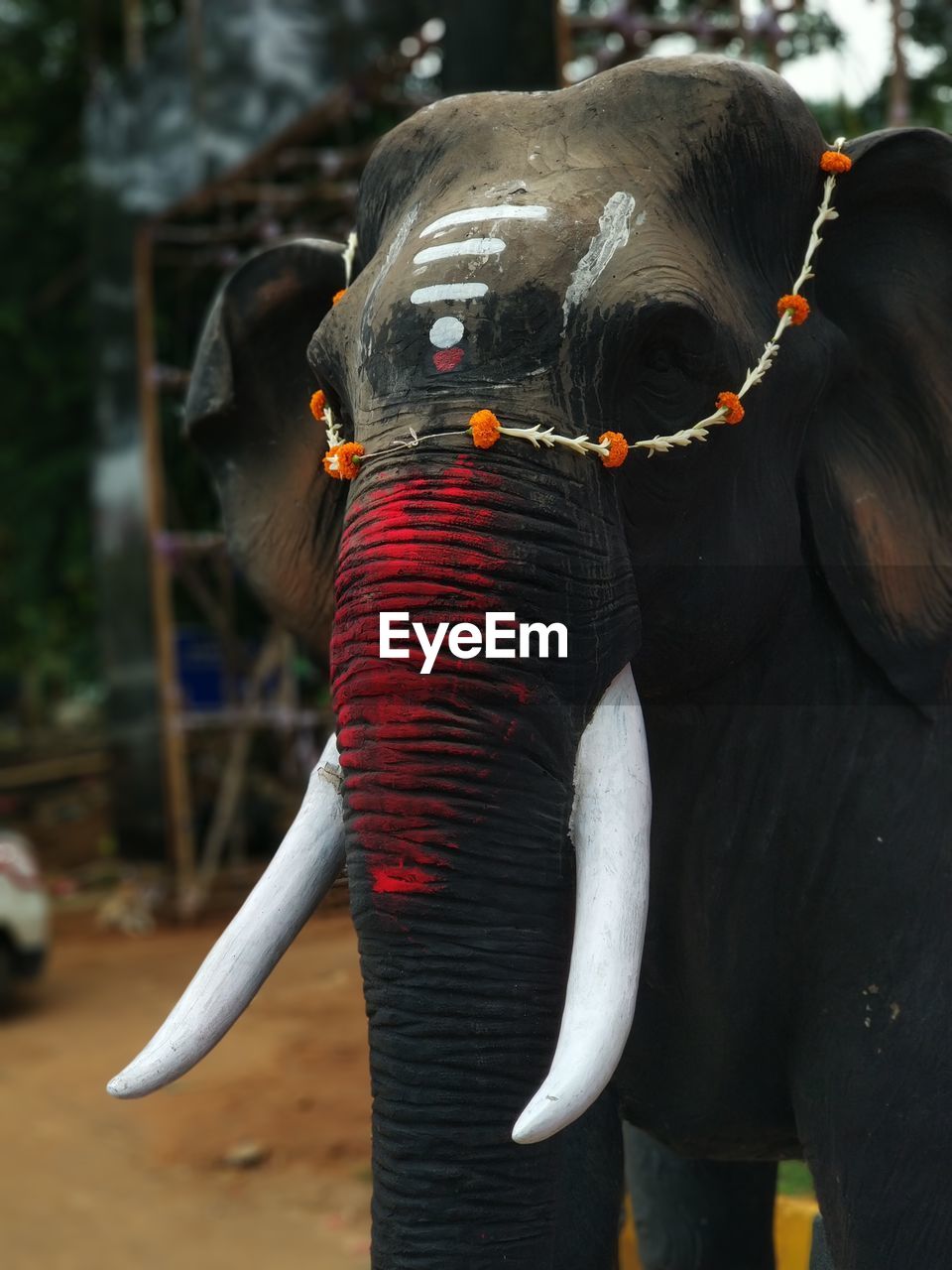 CLOSE-UP OF ELEPHANT IN A MOUTH