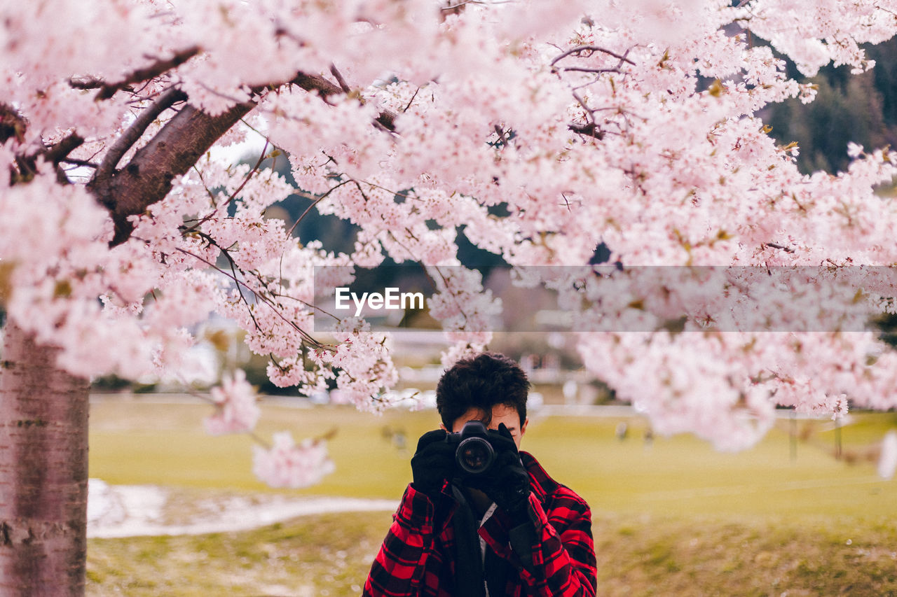 FULL LENGTH OF WOMAN STANDING BY PINK CHERRY BLOSSOM