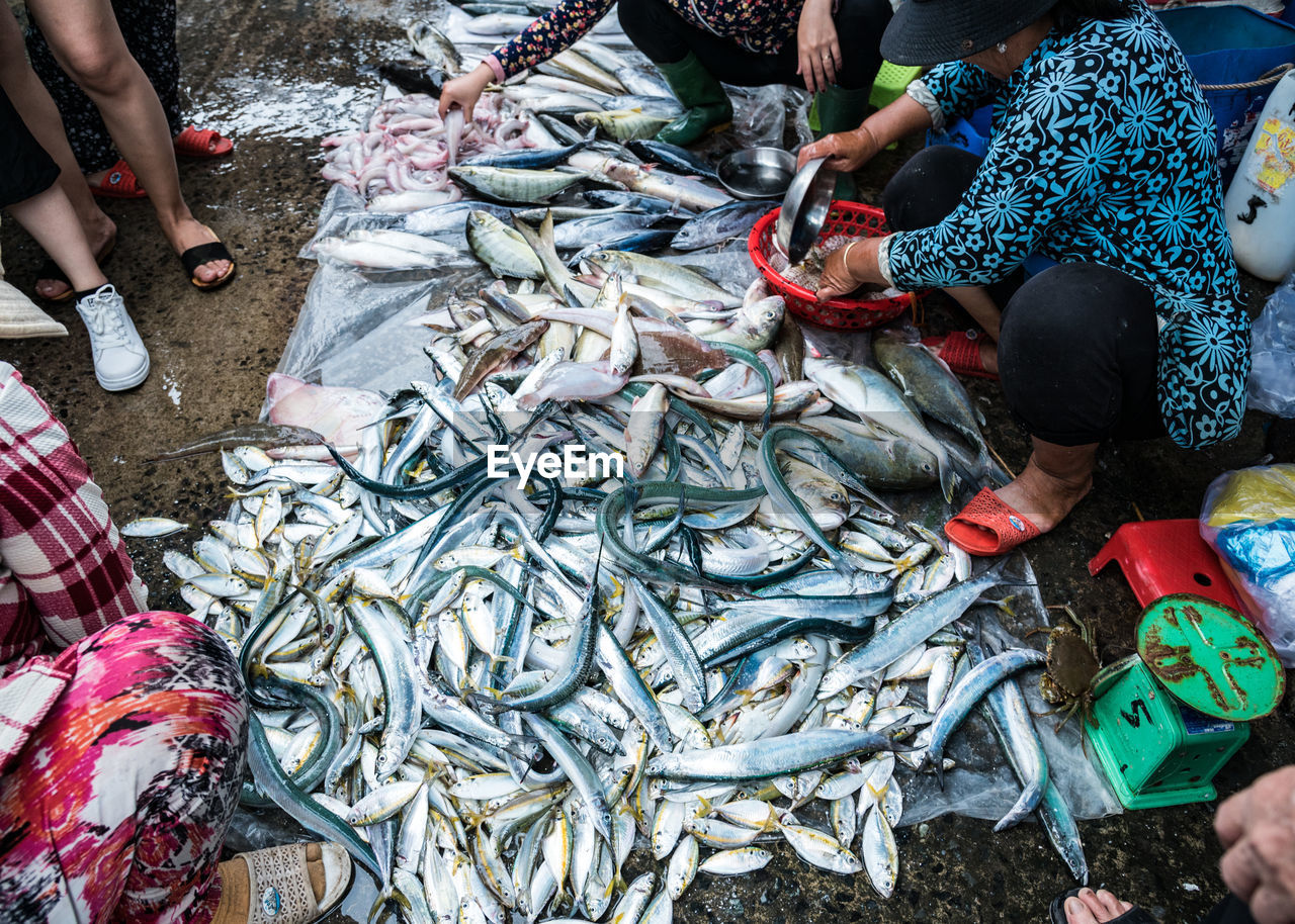 HIGH ANGLE VIEW OF FISH FOR SALE