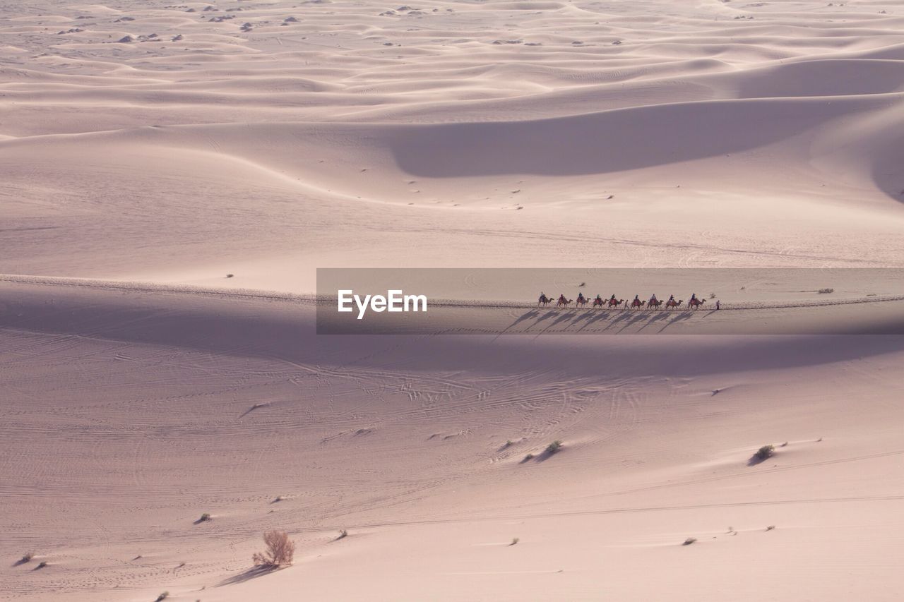 Scenic view of sand dunes at sunset