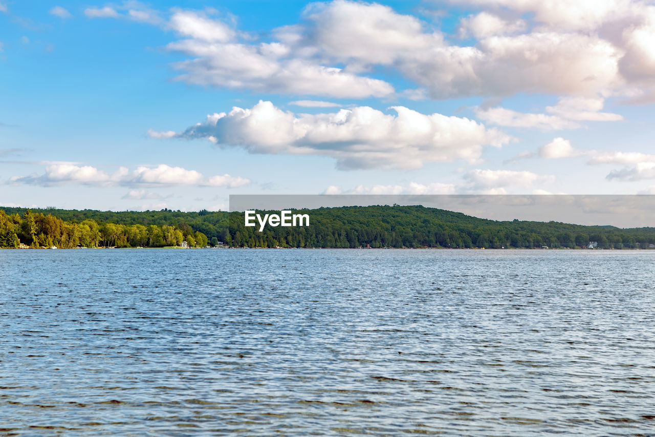 Beautiful landscape day view at canadian ontario beech lake in muskoka area. canadian forest nature 