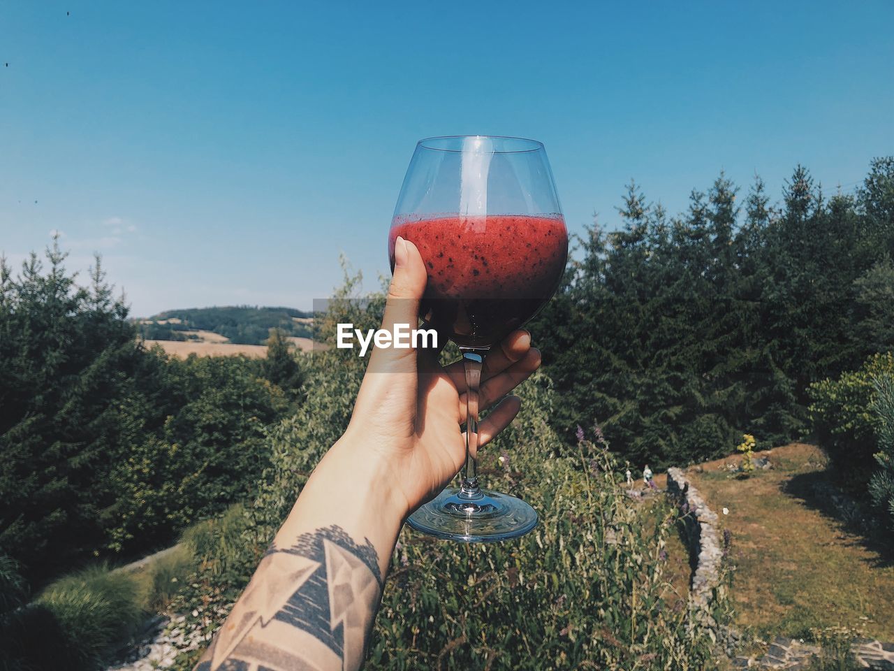 Cropped hand holding drink by trees on field against blue sky
