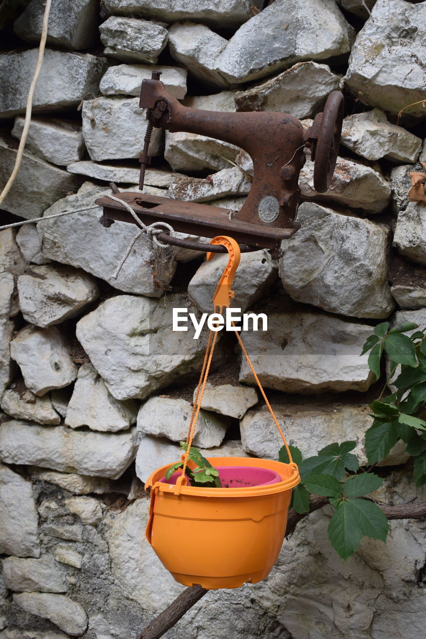 CLOSE-UP OF POTTED PLANT HANGING ON WALL