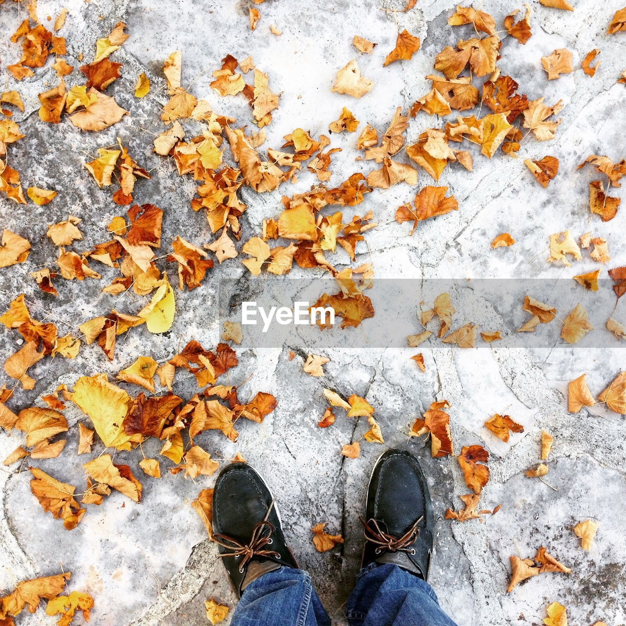 Low section of man standing on floor by autumn leaves