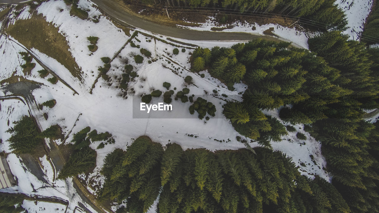 High angle view of trees on snow covered land
