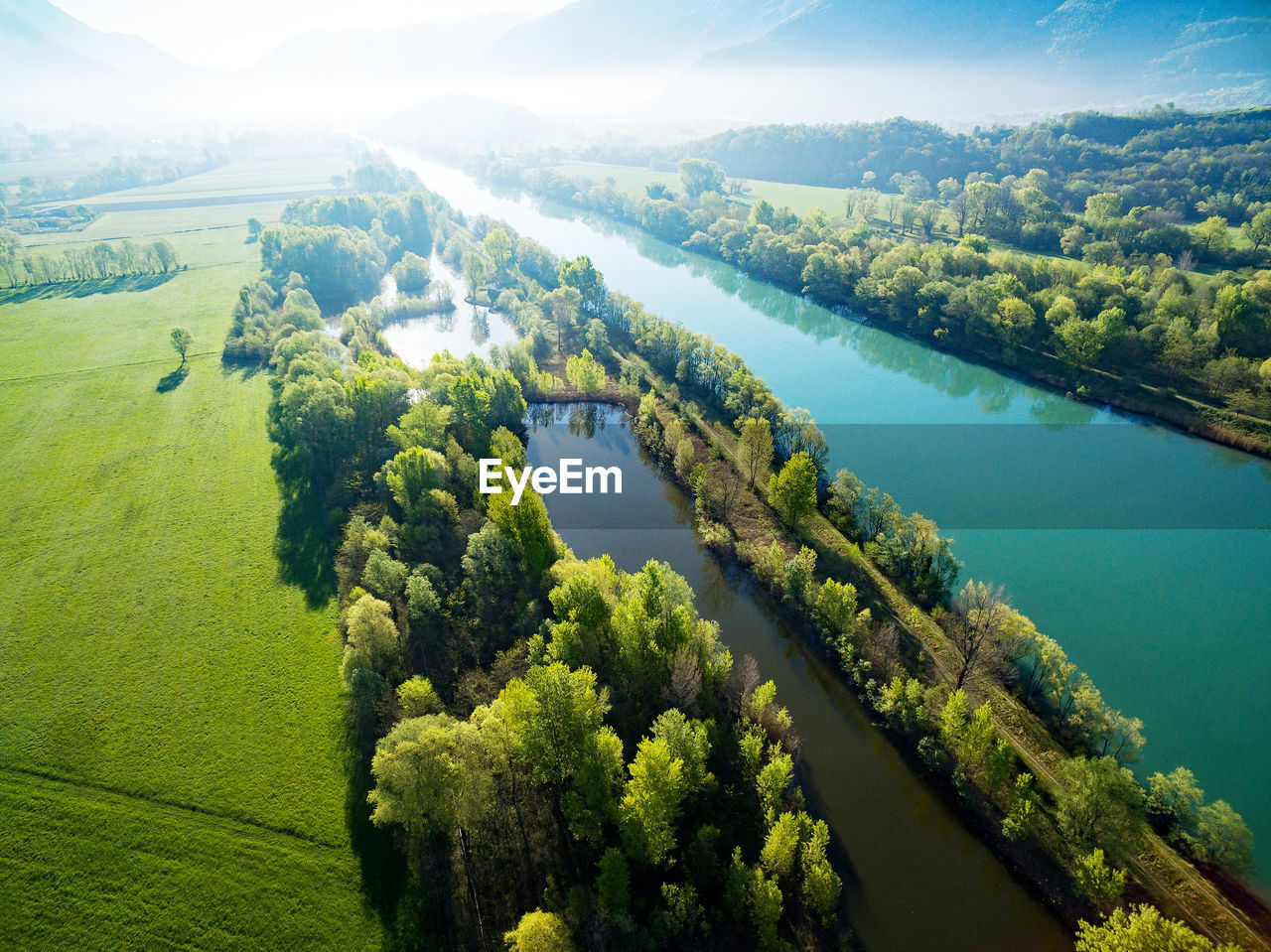 HIGH ANGLE VIEW OF LAND AND TREES