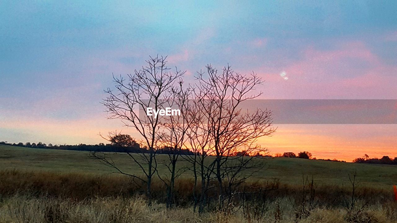 SCENIC VIEW OF LANDSCAPE AT SUNSET