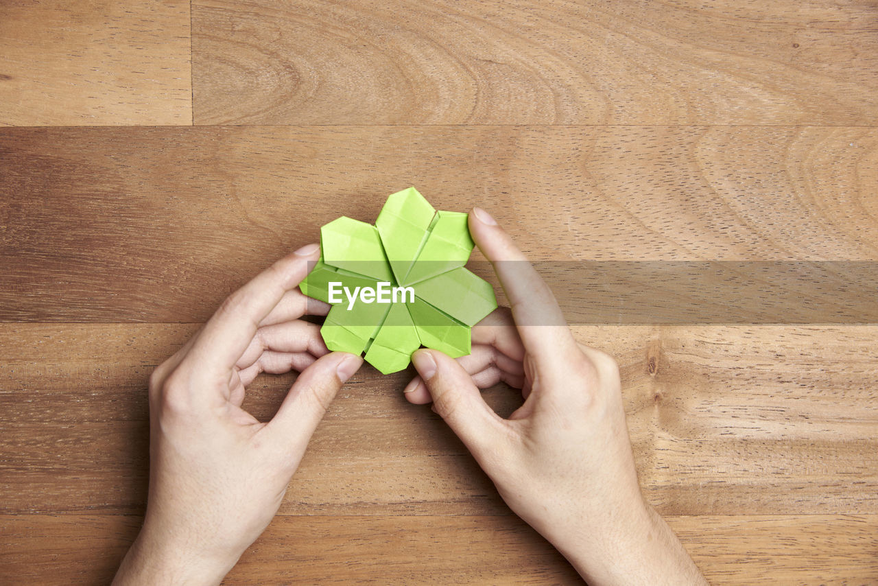 HIGH ANGLE VIEW OF HAND HOLDING LEAF