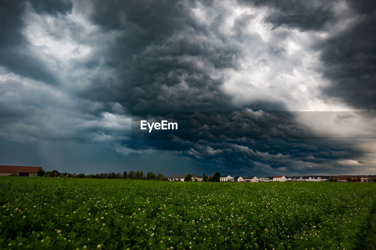 sky, cloud, environment, storm, landscape, horizon, field, land, nature, storm cloud, plant, thunderstorm, dramatic sky, beauty in nature, grass, agriculture, rural scene, plain, grassland, sunlight, scenics - nature, cloudscape, rain, crop, no people, overcast, wet, green, outdoors, prairie, extreme weather, tree, thunder, food, growth, farm, morning, cereal plant, horizon over land, meadow