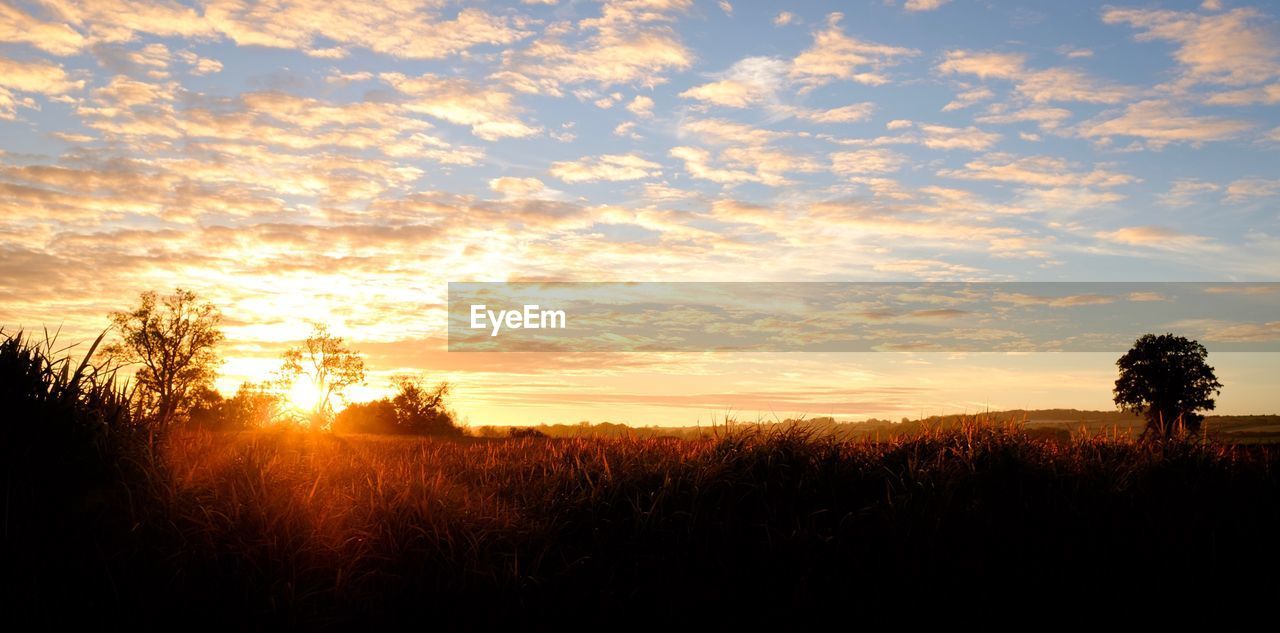 SCENIC VIEW OF SILHOUETTE FIELD AGAINST SKY DURING SUNSET