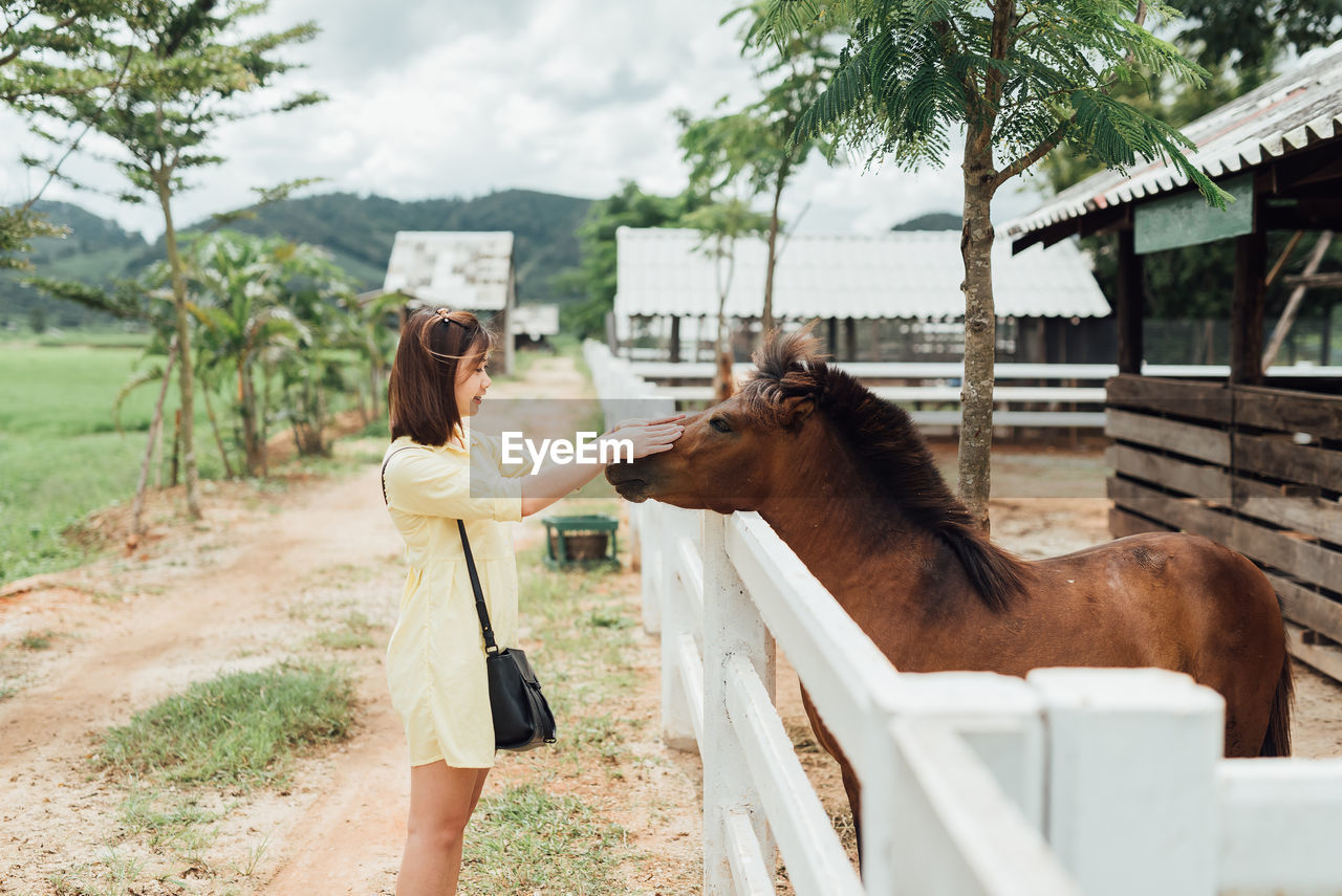 Woman touching horse at stable