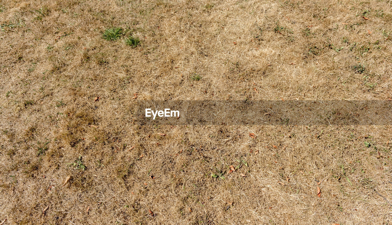 FULL FRAME SHOT OF CRACKED LAND