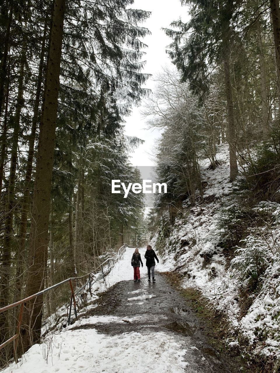 Two people walking on a snow covered hill side