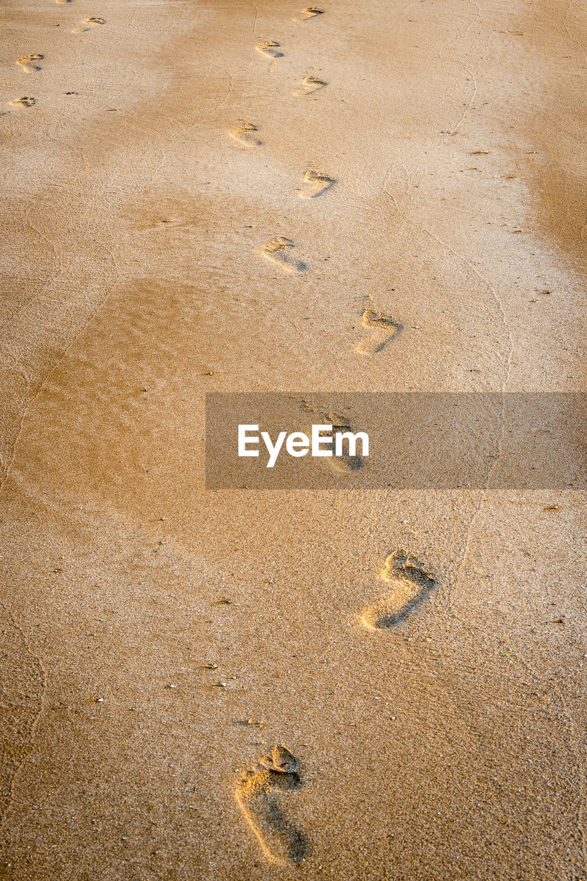 High angle view of footprints at beach